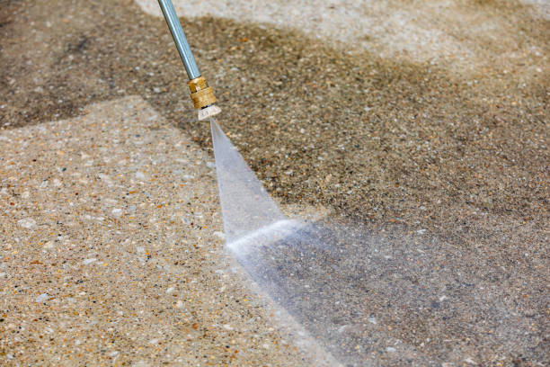 Best Vinyl Siding Pressure Washing in Brooklyn Park, MD