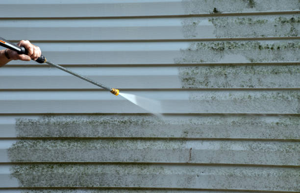 Best Driveway Cleaning and Restoration in Brooklyn Park, MD